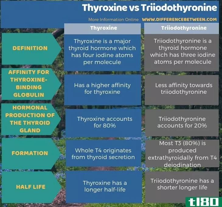 甲状腺素(thyroxine)和三碘甲状腺素(triiodothyronine)的区别