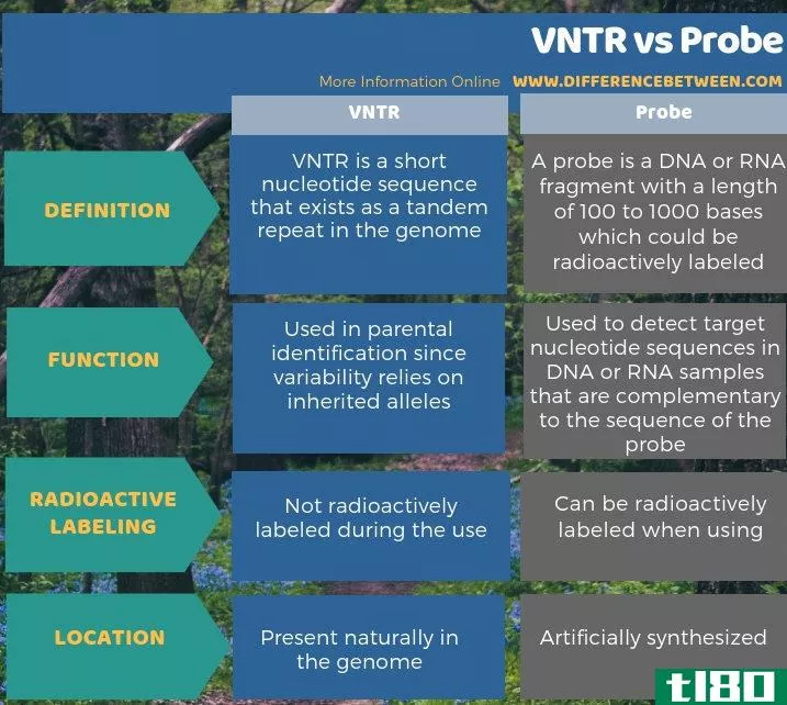vntr公司(vntr)和探查(probe)的区别