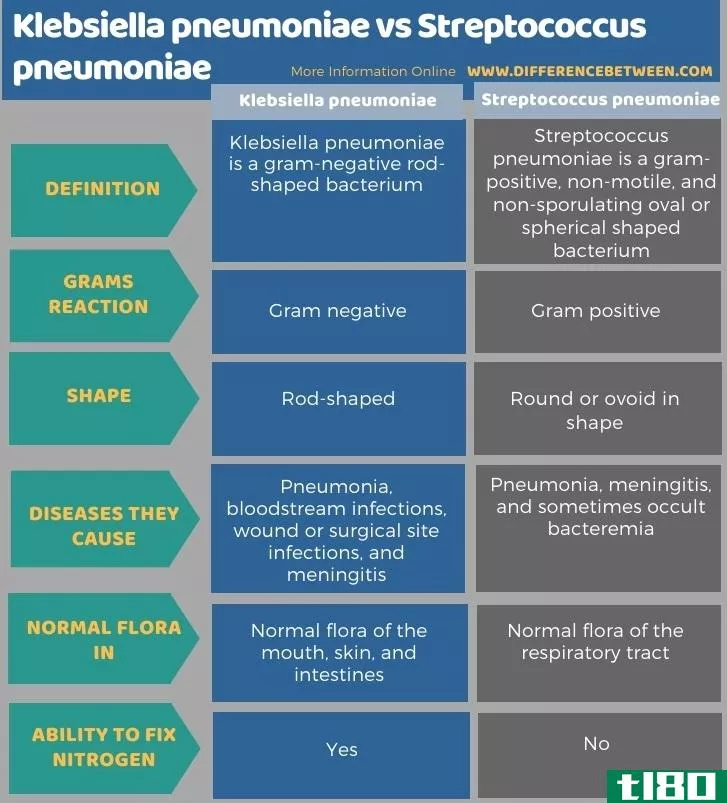 肺炎克雷伯菌(klebsiella pneumoniae)和肺炎链球菌(streptococcus pneumoniae)的区别