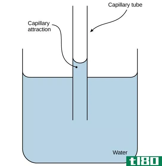 表面张力(surface tension)和毛细管作用(capillary action)的区别