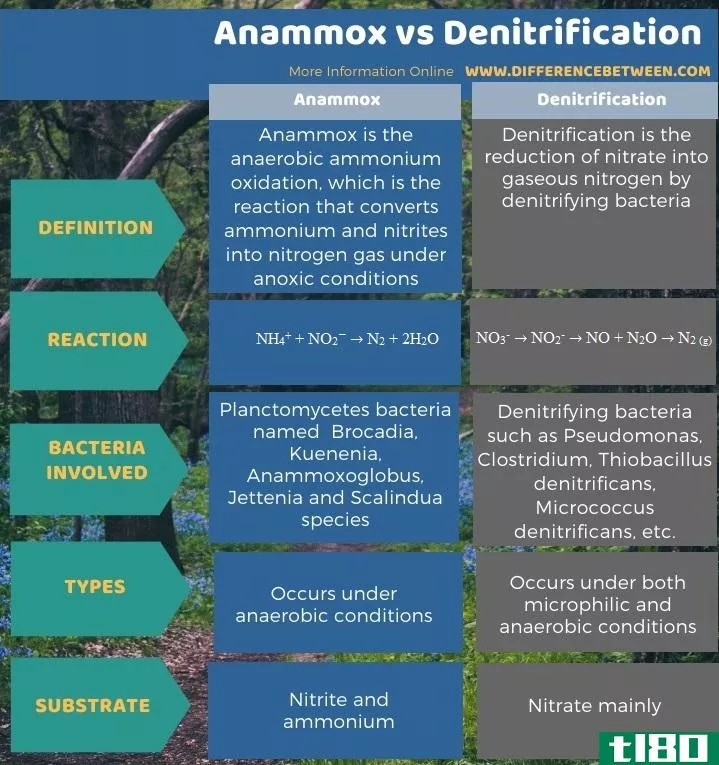 厌氧氨氧化(anammox)和反硝化(denitrification)的区别