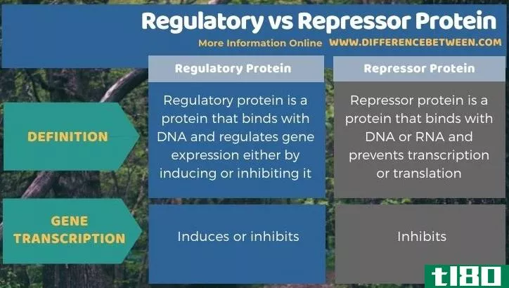 管理的(regulatory)和抑制蛋白(repressor protein)的区别
