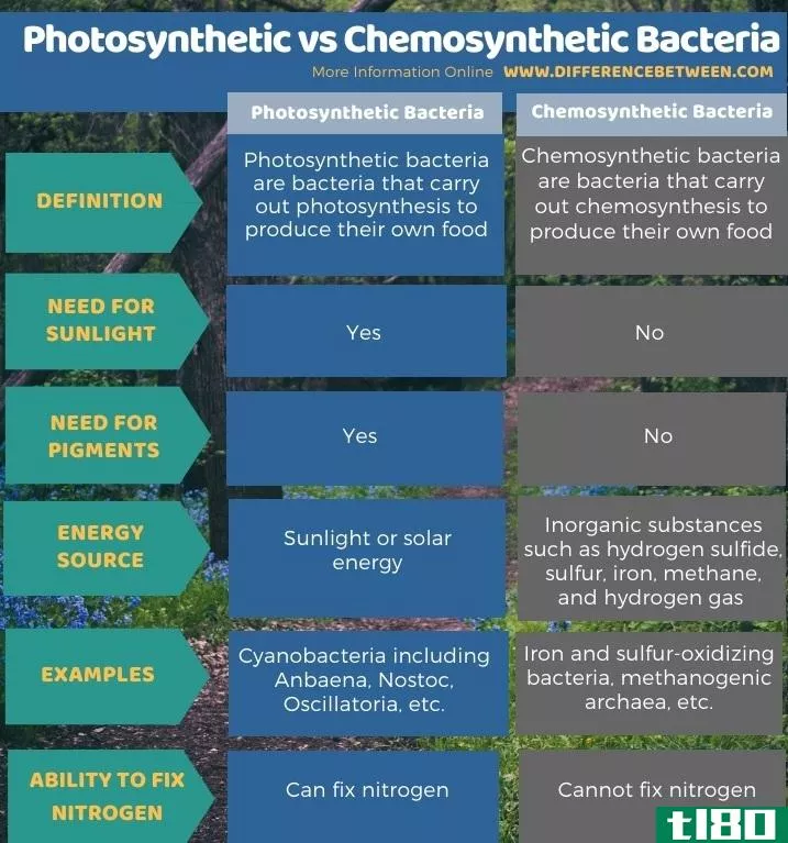 光合作用(photosynthetic)和化学合成细菌(chemosynthetic bacteria)的区别