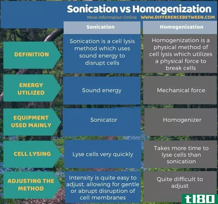 超声(sonication)和均质化(homogenization)的区别