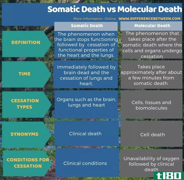 躯体死亡(somatic death)和分子死亡(molecular death)的区别