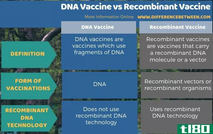 dna疫苗(dna vaccine)和重组疫苗(recombinant vaccine)的区别
