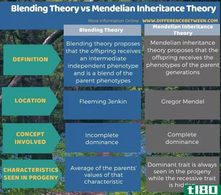 混合理论(blending theory)和孟德尔遗传理论(mendelian inheritance theory)的区别