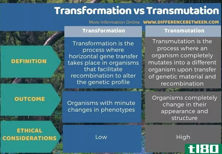 转型(transformation)和嬗变(tran**utation)的区别