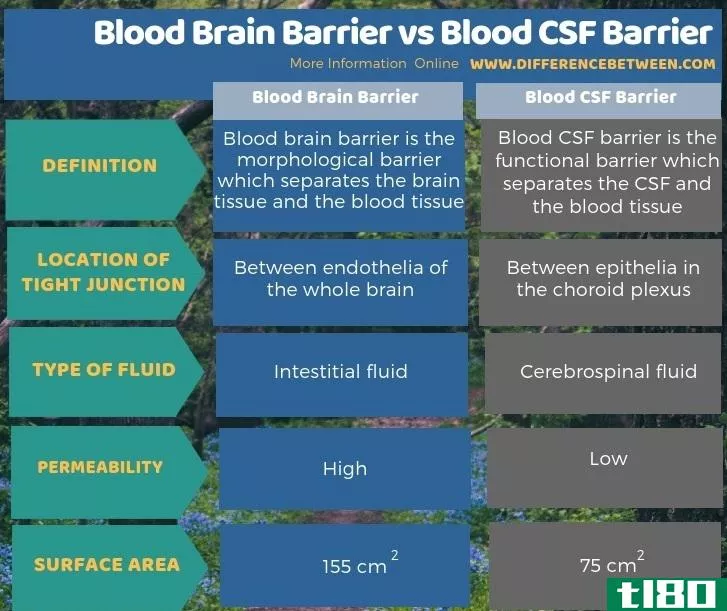 血脑屏障(blood brain barrier)和血脑脊液屏障(blood csf barrier)的区别