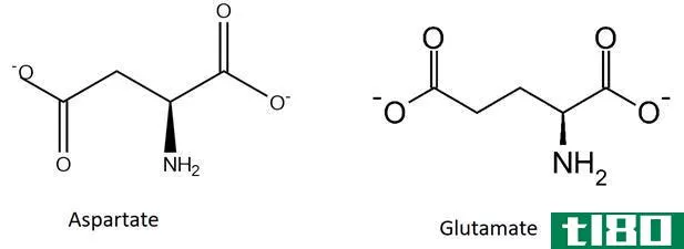 酸的(acidic)和碱性氨基酸(basic amino acids)的区别