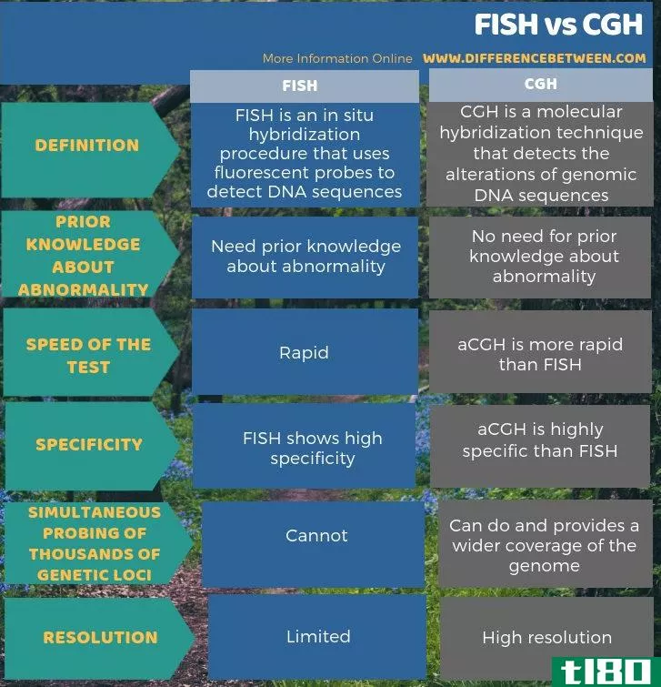 鱼(fish)和cgh公司(cgh)的区别