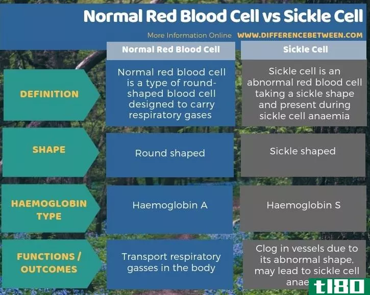 正常红细胞(normal red blood cell)和镰状细胞(sickle cell)的区别