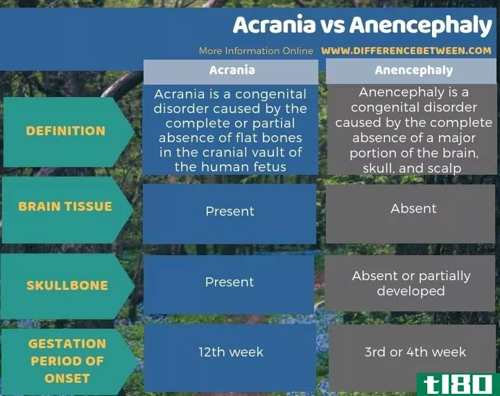 阿克拉尼亚(acrania)和无脑(anencephaly)的区别