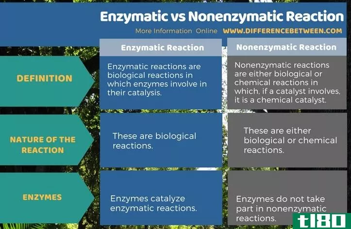酶的(enzymatic)和非酶反应(nonenzymatic reaction)的区别