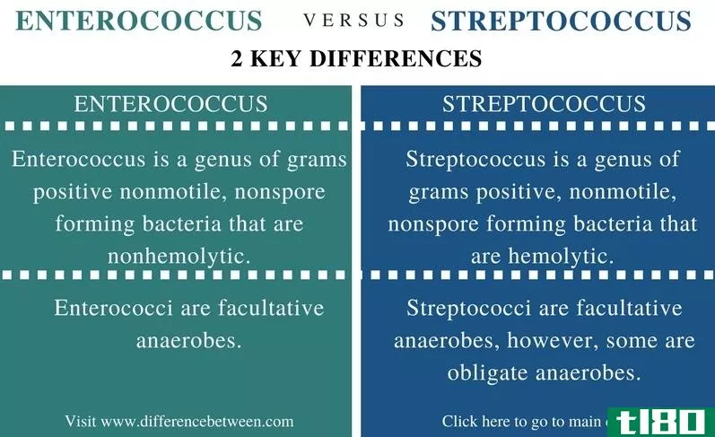 肠球菌(enterococcus)和链球菌(streptococcus)的区别