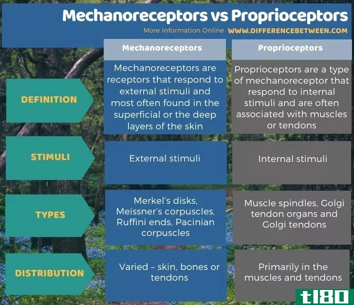 机械感受器(mechanoreceptors)和本体感受器(proprioceptors)的区别