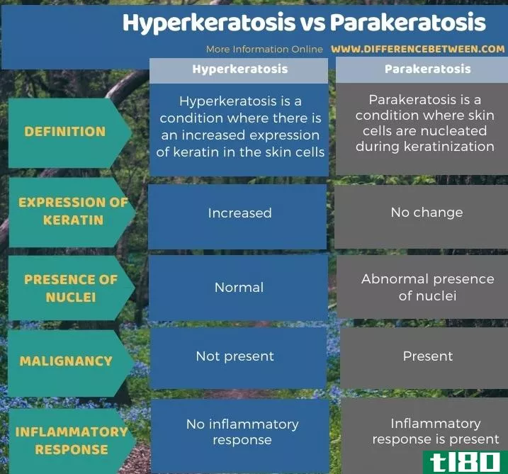 角化过度(hyperkeratosis)和角化不良(parakeratosis)的区别