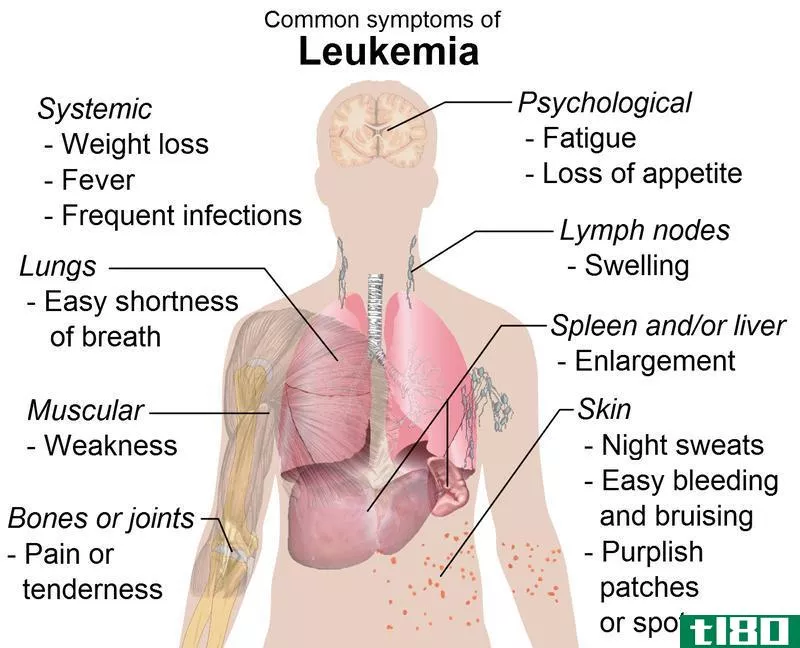 白血病(leukemia)和多发性骨髓瘤(multiple myeloma)的区别