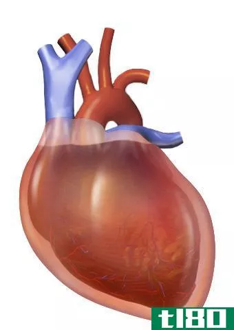 心包积液(pericardial effusion)和心脏压塞(cardiac tamponade)的区别