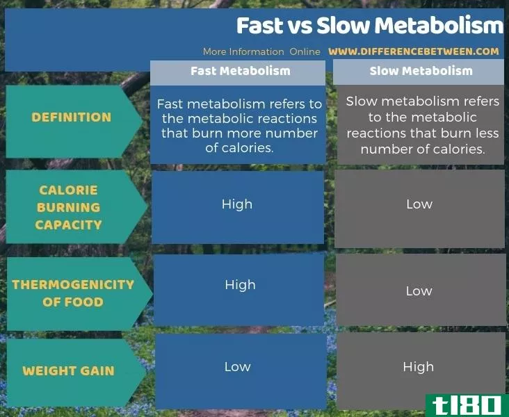快速的(fast)和新陈代谢缓慢(slow metaboli**)的区别