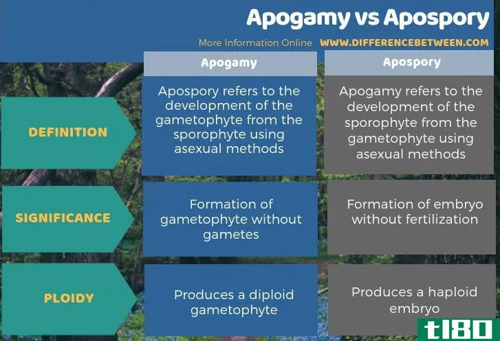 无孢子(apospory)和包婚(apogamy)的区别
