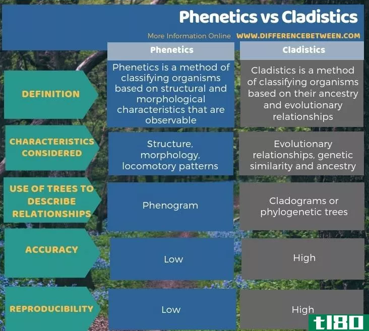 酚类(phenetics)和分支学(cladistics)的区别