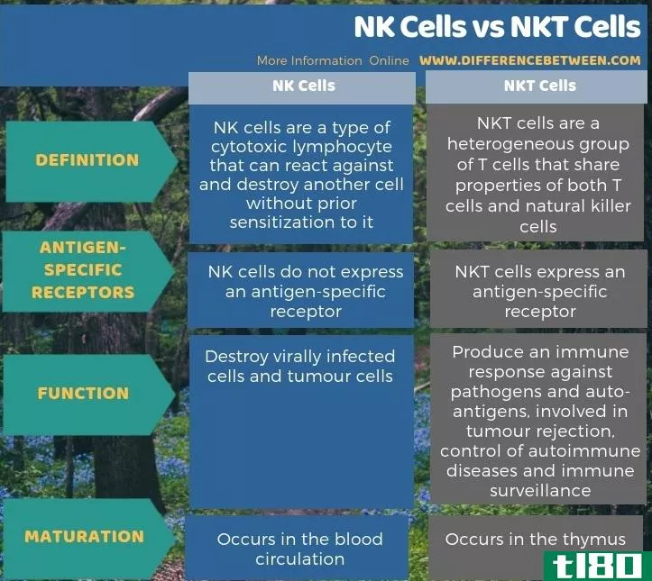 自然杀伤细胞(nk cells)和自然杀伤T细胞(nkt cells)的区别