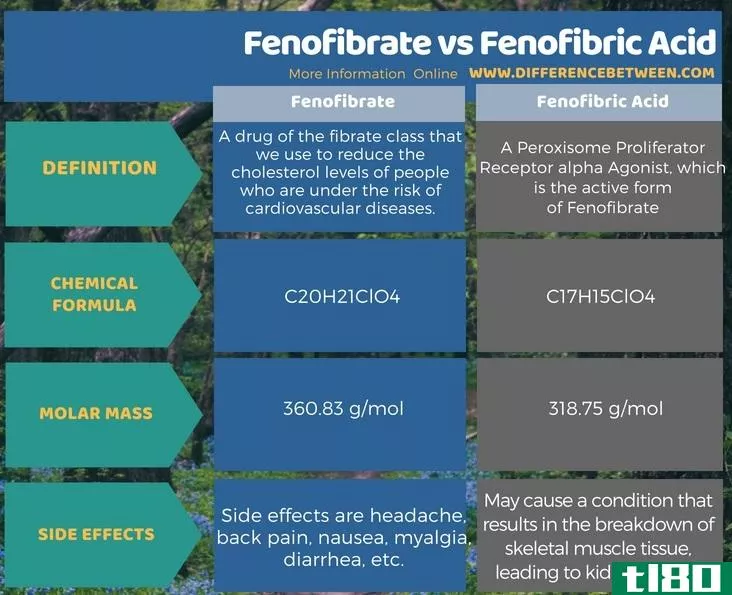 非诺贝特(fenofibrate)和非诺贝里克酸(fenofibric acid)的区别