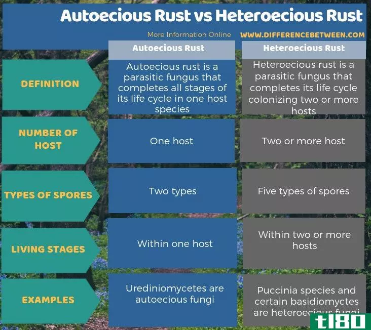 寄生锈病(autoecious rust)和异株锈病(heteroecious rust)的区别