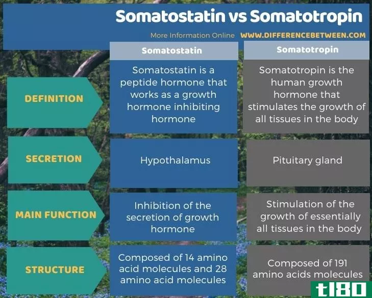 生长抑素(somatostatin)和生长激素(somatotropin)的区别
