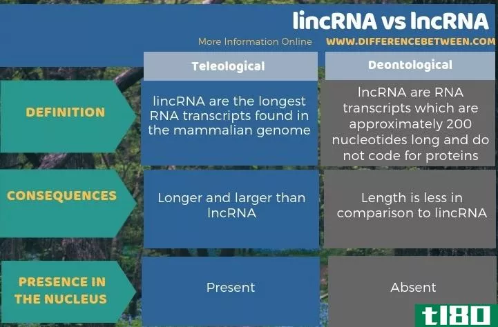 林克纳(lincrna)和lncrna公司(lncrna)的区别