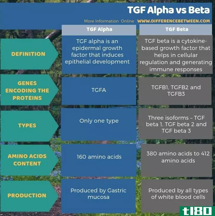 转化生长因子α(tgf alpha)和贝塔(beta)的区别