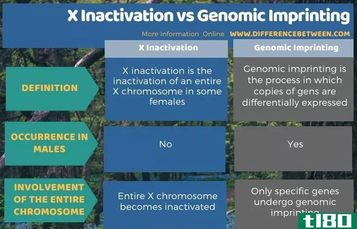 x灭活(x inactivation)和基因组印记(genomic imprinting)的区别