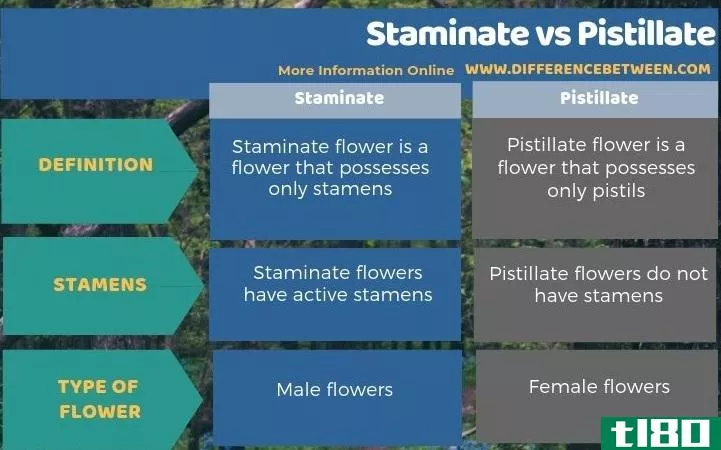 雄蕊(staminate)和雌蕊(pistillate)的区别