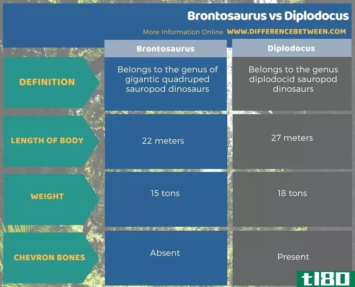 雷龙(brontosaurus)和双焦点(diplodocus)的区别