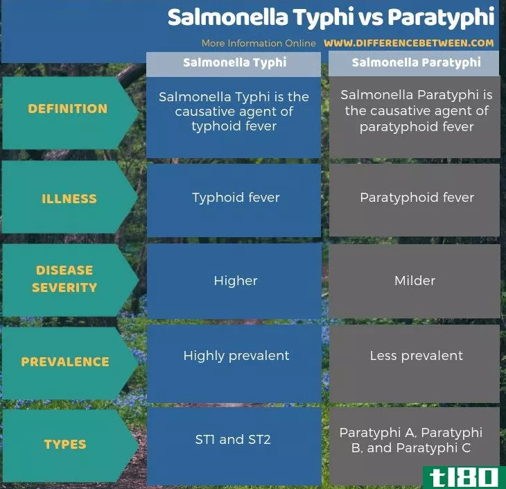 伤寒沙门菌(salmonella typhi)和副伤寒(paratyphi)的区别