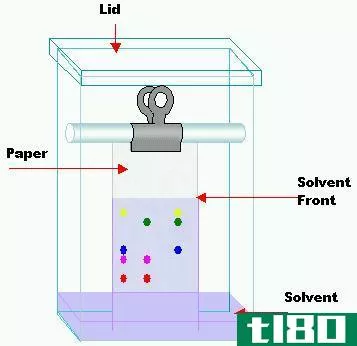 纸张薄层(paper thin layer)和柱色谱法(column chromatography)的区别