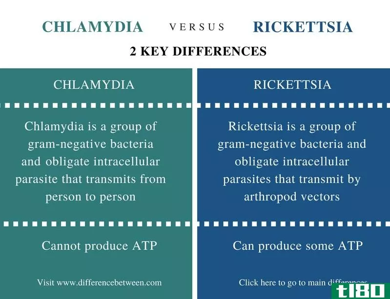 衣原体(chlamydia)和立克次体(rickettsia)的区别