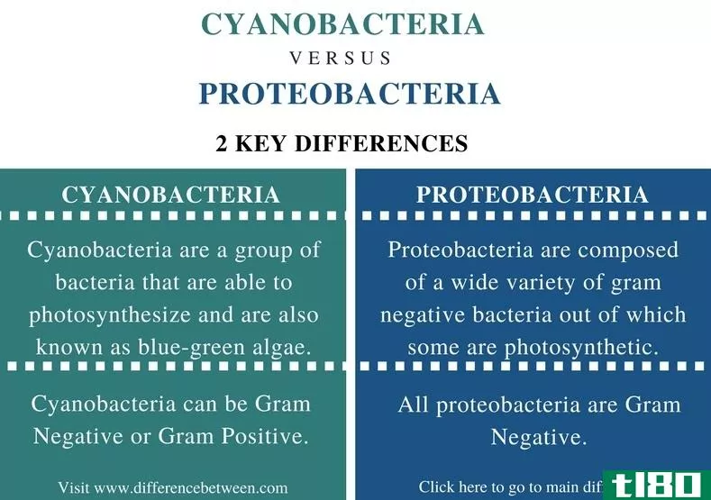 蓝藻(cyanobacteria)和蛋白质细菌(proteobacteria)的区别