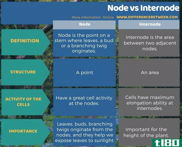 节点(node)和节间(internode)的区别
