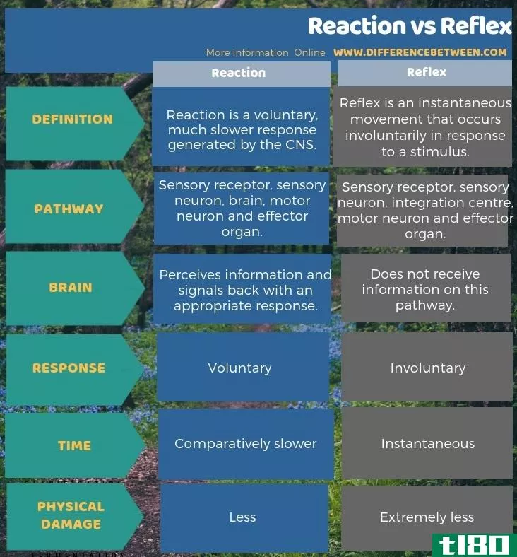 反应(reaction)和反射(reflex)的区别