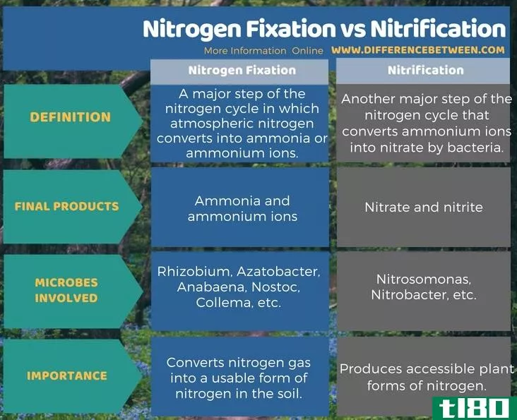 固氮(nitrogen fixation)和硝化作用(nitrification)的区别