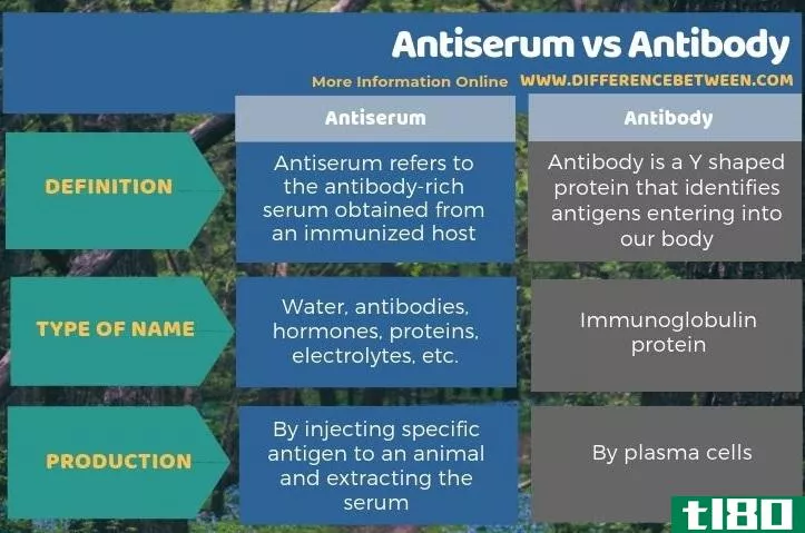 抗血清(antiserum)和抗体(antibody)的区别
