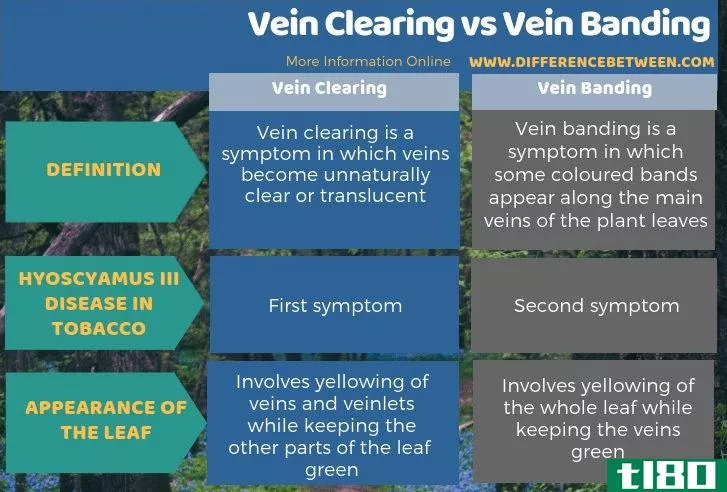 静脉清除(vein clearing)和静脉束带(vein banding)的区别