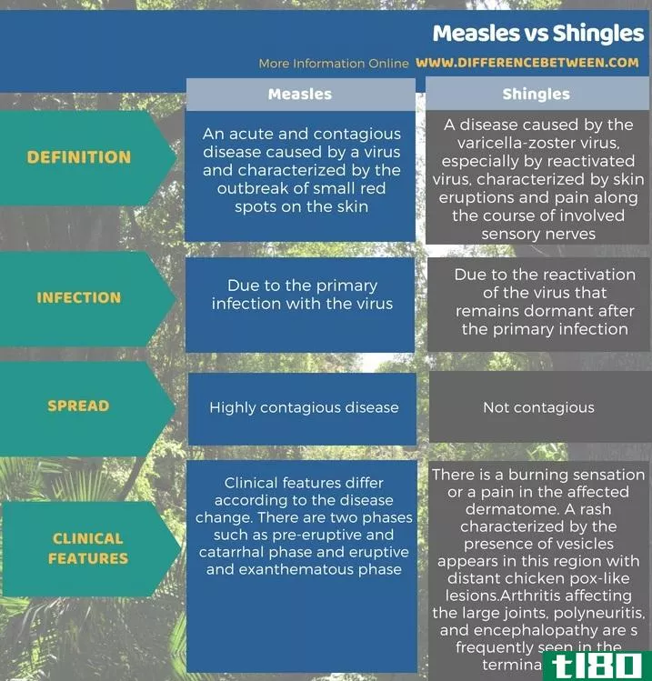 麻疹(measles)和木瓦(shingles)的区别