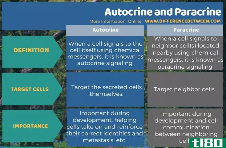 自分泌(autocrine)和旁分泌(paracrine)的区别