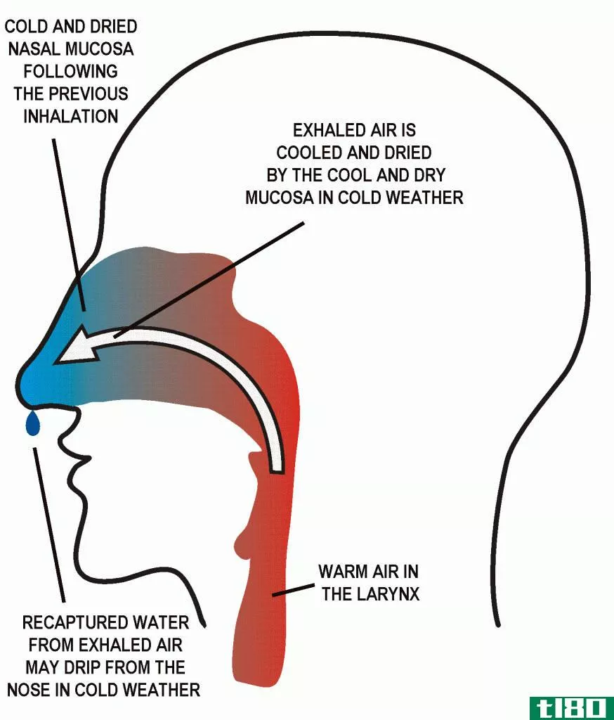 充氧(oxygenation)和通风(ventilation)的区别
