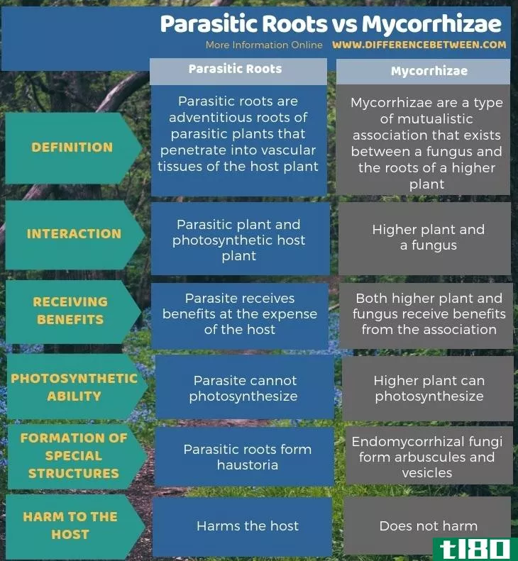 寄生根(parasitic roots)和菌根(mycorrhizae)的区别