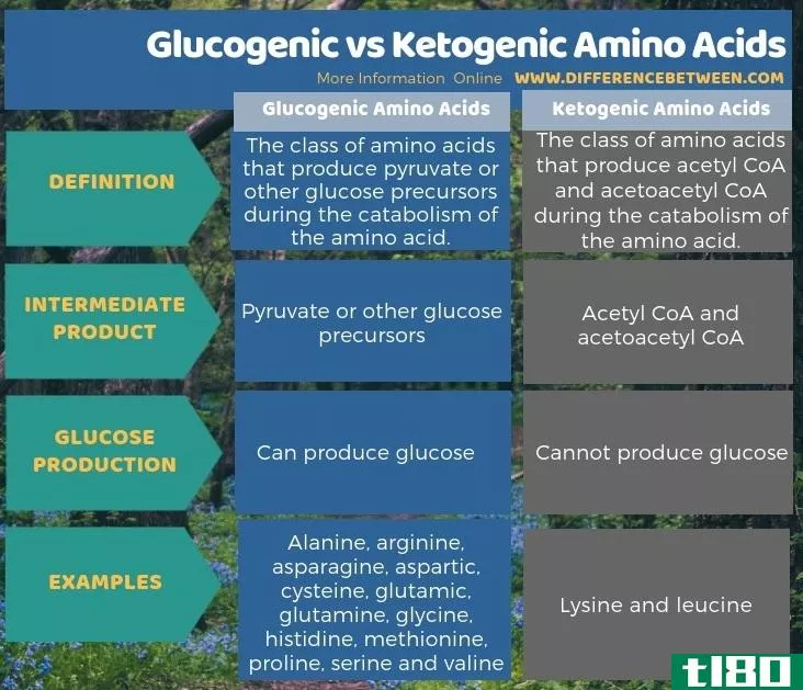 糖原性(glucogenic)和生酮氨基酸(ketogenic amino acids)的区别