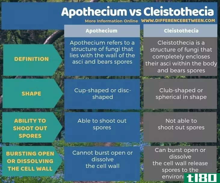 药膜(apothecium)和闭膜(cleistothecia)的区别